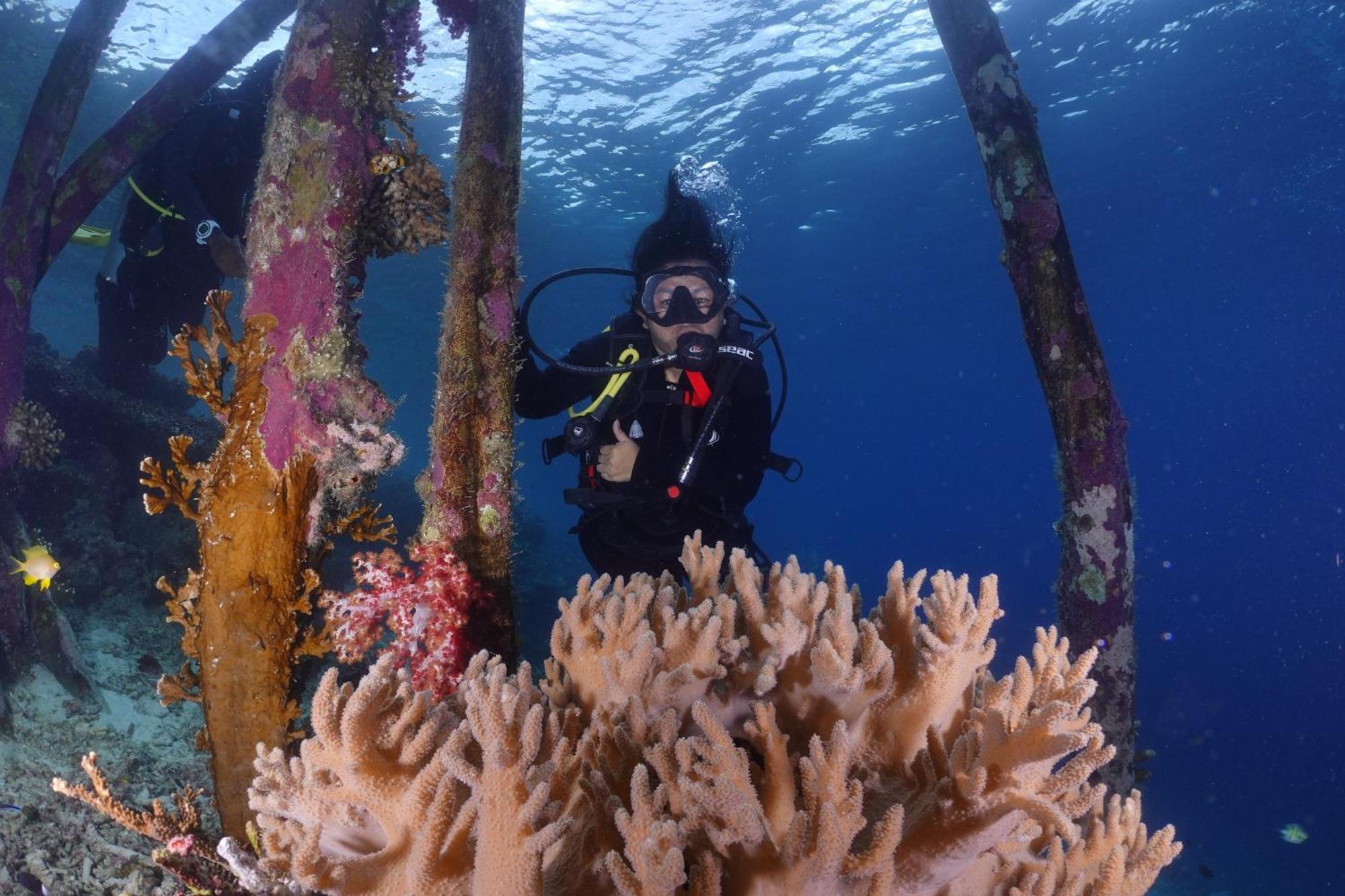 Amoryg Resort And Dive Raja Ampat Pulau Mansuar Exterior photo