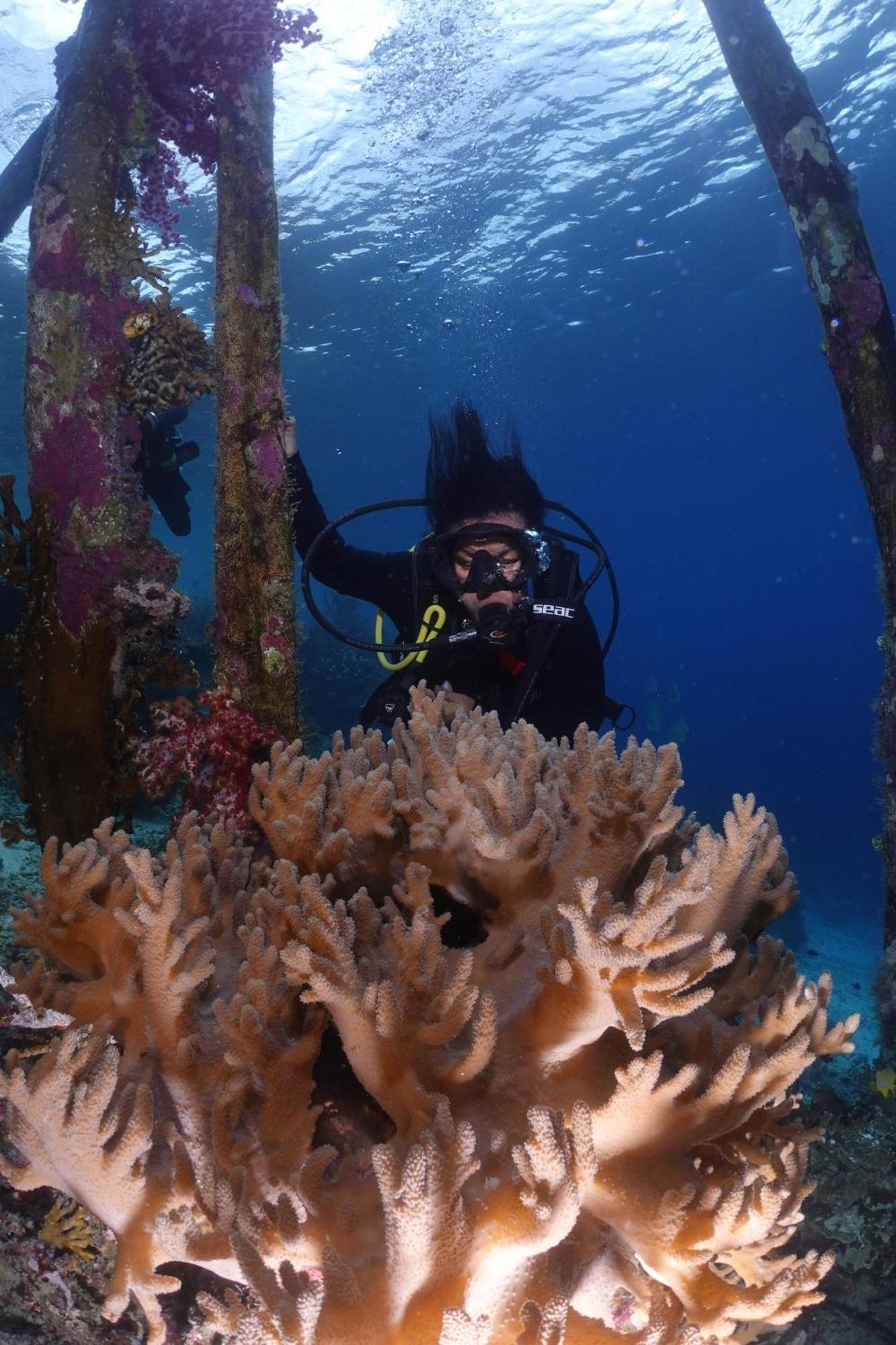 Amoryg Resort And Dive Raja Ampat Pulau Mansuar Exterior photo